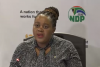 'My dear, what is going to help us is respect' - Kubayi to a Nigerian journalist