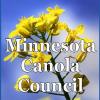 Minnesota Canola Council Urges Farmers to Watch Disease Risk Map