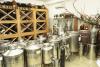 Moldovan Technical University launches Innovation Center for Viticulture and Winemaking for connecting research with wine industry