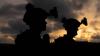 Japan Announces 2 Major Western Pacific Exercises with U.S.