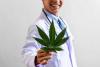 THC-CBD Treatment Dramatically Reduces Agitation in Dementia Trial