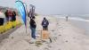 African penguin rescued during Lagoon Beach cleanup in Milnerton