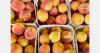 Smaller peach crop expected from North Carolina