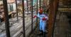 WHO urges DRCongos neighbours to act immediately on Ebola risk
