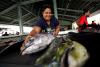 Pacific Tuna Initiative expands to include Palau, Advancing Sustainable, Equitable Ocean Governance