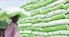 Nigeria, IFDC Seal Partnership To Boost Fertiliser Access