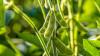 Nu-Tek BioSciences to Attend BPI East 2026 in Boston, Connecting Animal-Free Culture Media Nutrients with Pharma Customer Growth Strategies