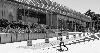 Skeletons in the closet: Inside the unraveling of the California Academy of Sciences