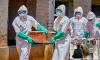 Ebola screenings begin at three major airports as deadly outbreak spreads and travelers face fever checks and home visits
