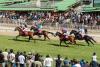 Why Mauritius is secretly Africa’s most exciting horse-racing destination right now