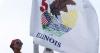 Illinois State Fair reveals theme and discount days, offers free fun for families