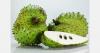 Taiwanese atemoya sector focuses on market diversification