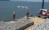 Providing Relief for the Aquaculture Industry