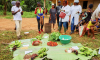 From science-based evidence to action