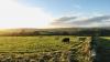 Farm Survey: Incomes up across the board in 2025