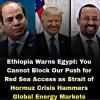 Ethiopia Warns Egypt: You Cannot Block Our Push for Red Sea Access as Strait of Hormuz Crisis Hammers Global Energy Markets