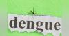 Number of Dengue Cases in U.S. Rose Precipitously in 2024 Compared to 2023