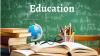 Orphans and Bastards: Federal and State Universities in Nigeria, By Jeff Godwin Doki Ph.D