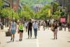 This major Montreal street is losing its car-free summer—while a new pedestrian zone opens in Villeray