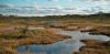 The bogs of war: landscapes play a huge part in conflict – and restoring them can strengthen security