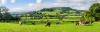 UK Government unveils action plan to boost organic farming
