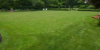 An Overview Of Fall Lawn Care