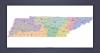Federal court denies motion to halt Tennessee reapportionment