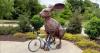 Skip the Hikes and Try This South Carolina Bike Trail Instead