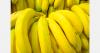 Logistics costs and quality issues constrain banana exports from Brazil