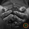Michigan invests in regenerative farmer networks to boost soil health and conservation