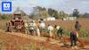 As the debate heats up, migrants are quietly keeping the bush running