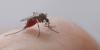 Sioux Falls to begin mosquito control program for summer