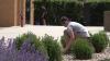 Local youth unite for Global Youth Service Day across Rapid City