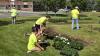Red, White and Bloom: Rapid City Gardens Get Patriotic