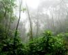 Colombia: People’s summit calls for ‘just transition, energy democracy, climate justice’