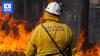 Dry winter could make spring bushfire conditions in NSW and WA 'tricky'