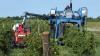 Vermont Becomes First US State to Ban Paraquat Over Parkinson’s Risk