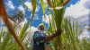 Africa can end hunger, but only if we act on what we already know