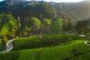 This beautiful island nation has just waived visa fees for more than 40 countries