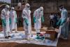 WHO chief calls for ‘immediate ceasefire’ in Democratic Republic of Congo as number of suspected Ebola cases nears 1,000