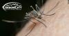 Mosquito abatement treatments continue June 22 in Carson City