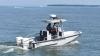Walleye double trippers from Minnesota caught by ODNR