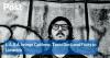 L.A.S.A. brings Califone, Tashi Dorji and Fixity to Limerick