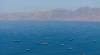 Hormuz nearly paralysed as just two ships pass in 24 hours