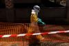 Kenya approves US Ebola quarantine facility for exposed Americans amid outbreak