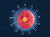 To viral or not to viral: In vivo CAR T debates delivery tech
