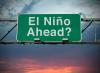 Panamanian Government Declares a National State of Emergency Due to the El Niño Phenomenon.