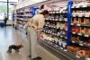 U.S. GDP Grew Faster Than Expected in First Quarter, but Consumer Spending Nearly Stalled