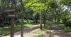El Salvador Transforms Bicentennial Park with 24/7 Hours and Reforestation Initiative.