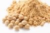 Fixing India’s soybean meal shortage – What imports can and can’t solve
